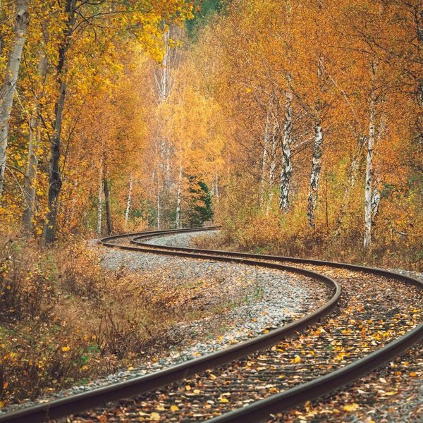 A path winding through a peaceful landscape, symbolizing a journey.